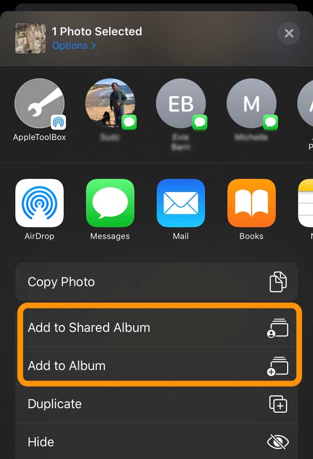 Share sheet Photos app Add Photo to Album or Add Photo to Shared Album