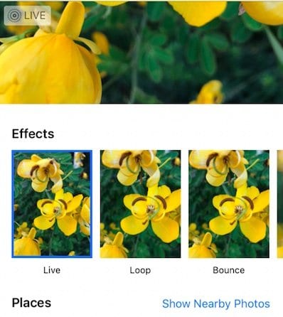 How to Add Effects to Live Photos on iPhone