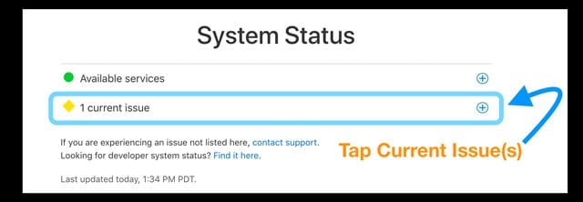 Check Apple System Status Report and Website for Issues