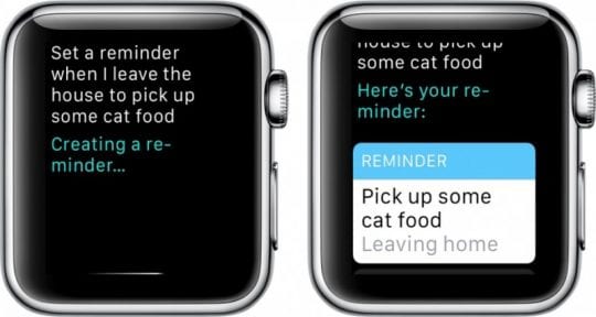 Apple Watch Reminder