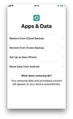 Screenshot from an iPhone setup screen displaying the Backup Recovery Options