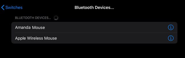 Bluetooth switch control iPadOS devices