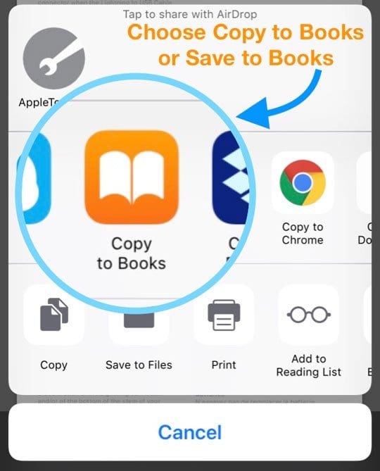 Share Sheet Apple Books Copy to or Save to Books options