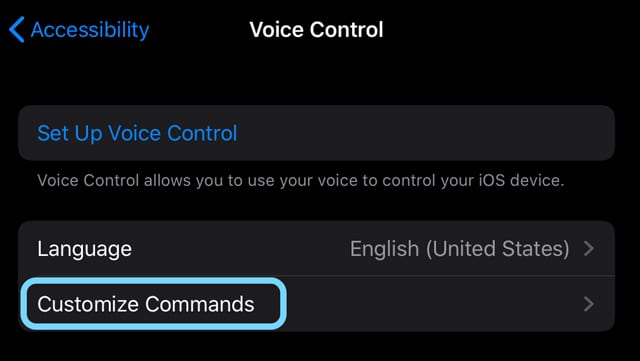 how to customize voice control commands in iOS13 and iPadOS