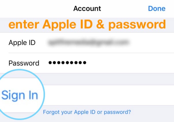 enter Apple ID and password