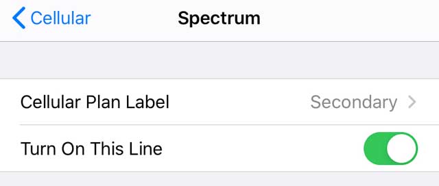 iPhone eSIM Turn on this line