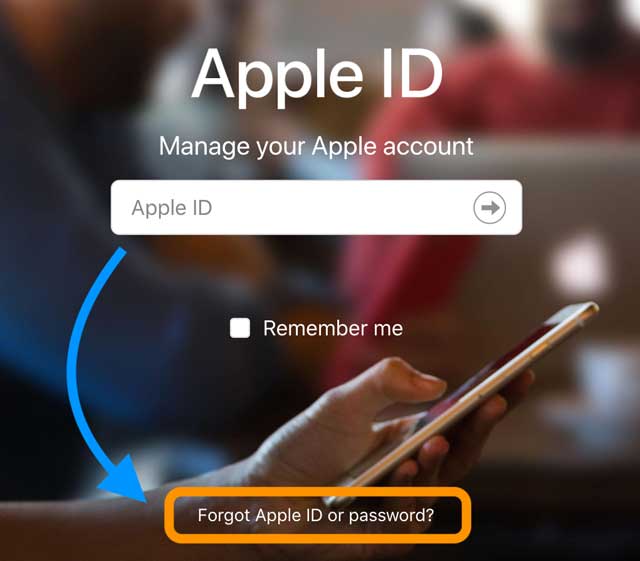 forgot apple id or password using apple's Apple ID website