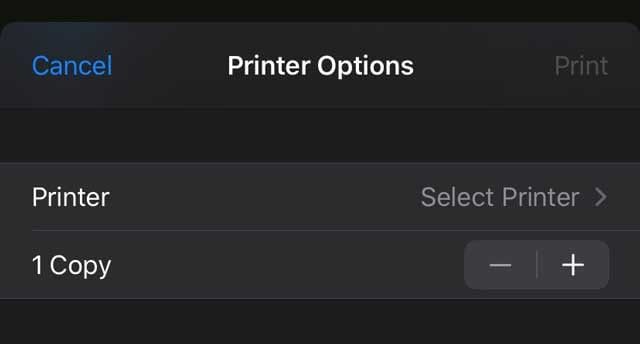 printer options AirPrint on iOS and iPadOS