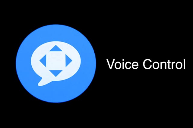 voice control glyph and icon
