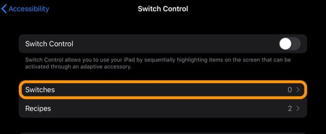 Switches settings in iPadOS Accessibility settings