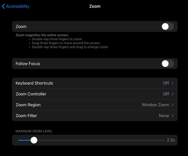 Zoom settings iPadOS