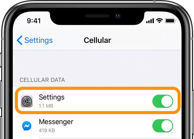 toggle on cellular data for the Settings app on iPhone