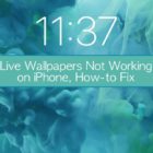 Live Wallpapers not working on iPhone? Let's fix it!