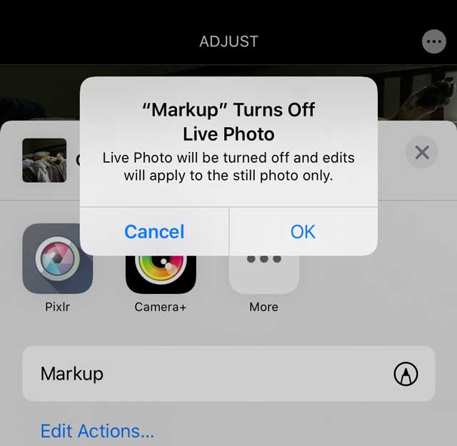 Photos app markup message for Live Photos
