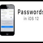 Why Is My iPhone Choosing Passwords For Me In iOS 12?