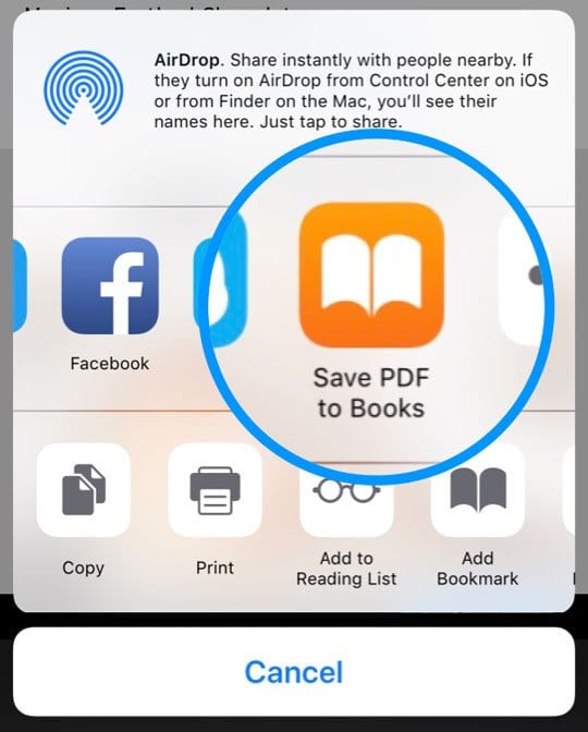 save pdf to apple books