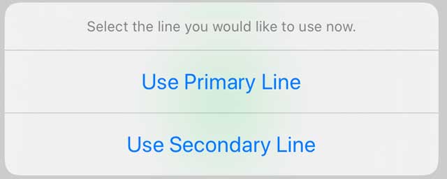 select the line on eSIM and Dual Sim ipHones