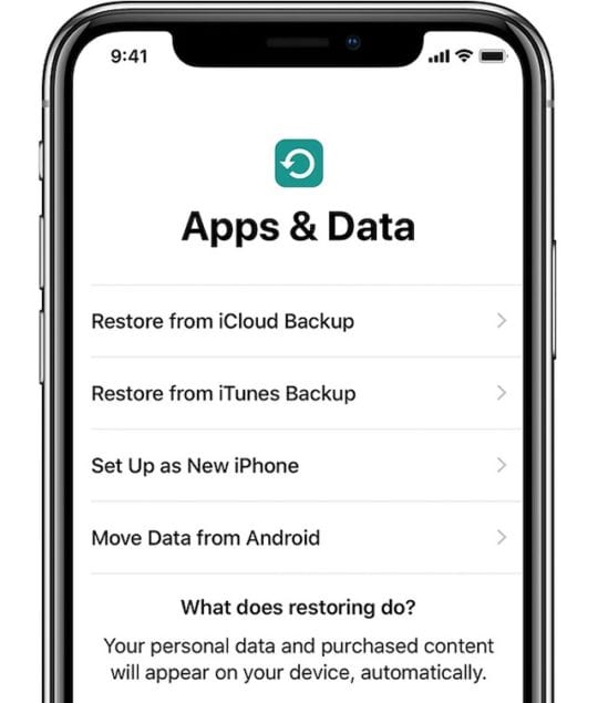 iPhone Apps & Data options in iPhone setup