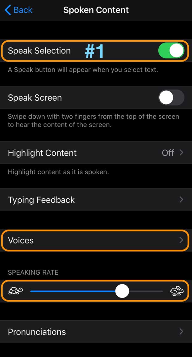 iOS 13 and iPadOS Accessibility Spoken Content settings