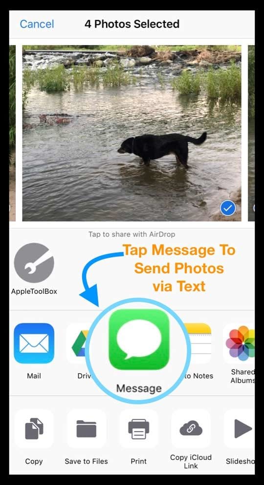 Share Photos in Photos App Using Share Sheet and Messages