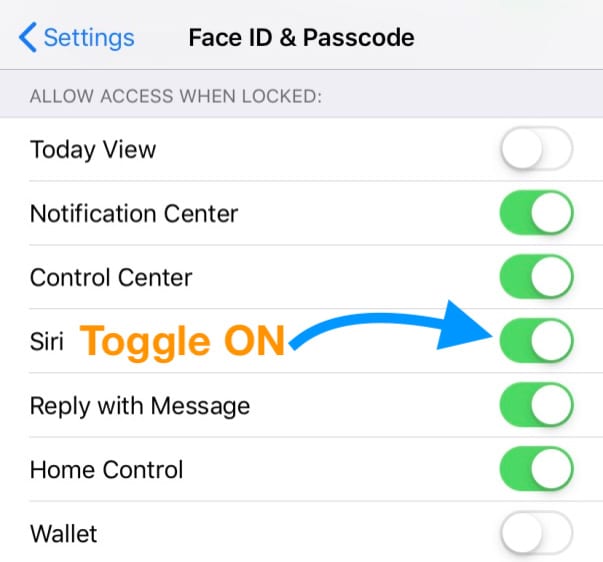 turn siri on for your iPhone or iPad lock screen