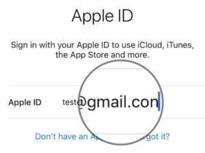 Typo in Apple ID email address