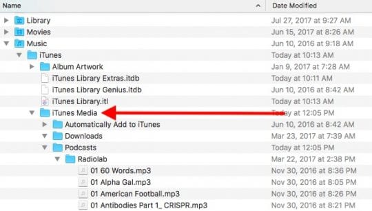 Using iTunes 12.7, Common Tips